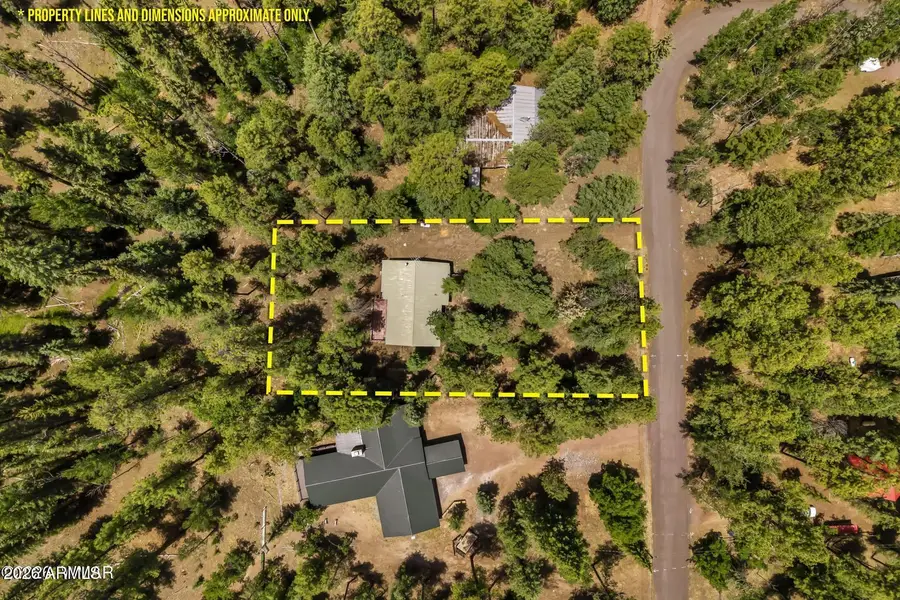 12 County Road 2044 --, Alpine, AZ 85920 - #3