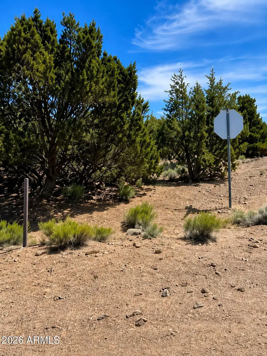 10329 N Saint Francis Avenue #48, Williams, AZ 86046 - #3