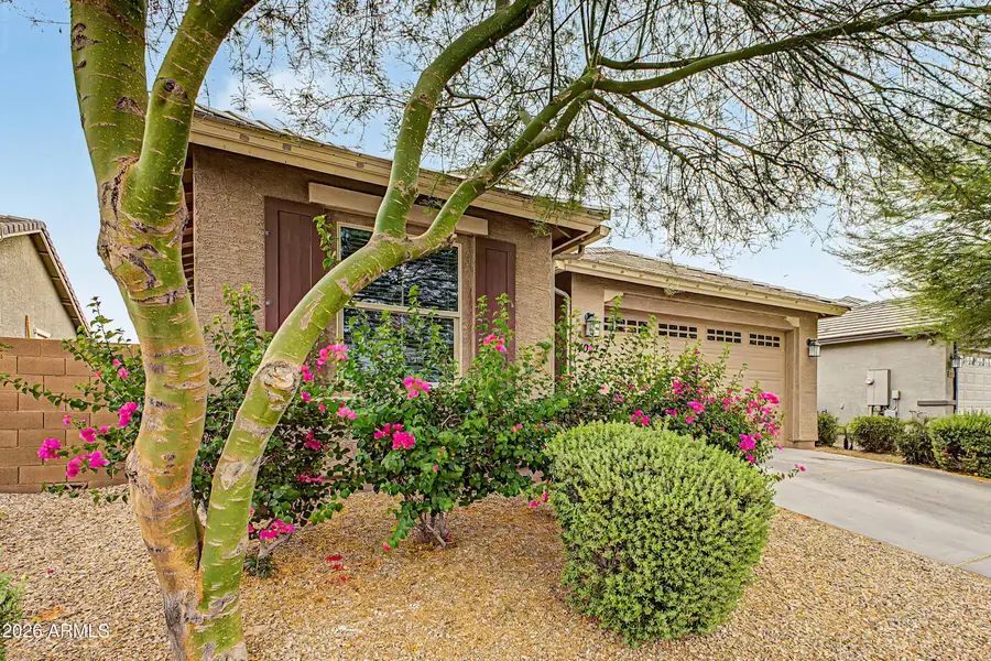 4027 S 96th Drive, Tolleson, AZ 85353 - #2