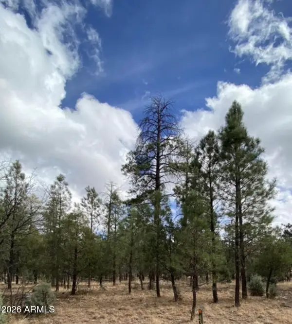 4395 Jack Pine Place #146, Happy Jack, AZ 86024