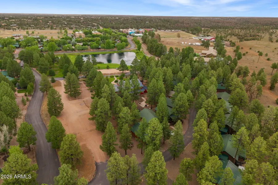 2722 High Pine Loop, Overgaard, AZ 85933 - #2