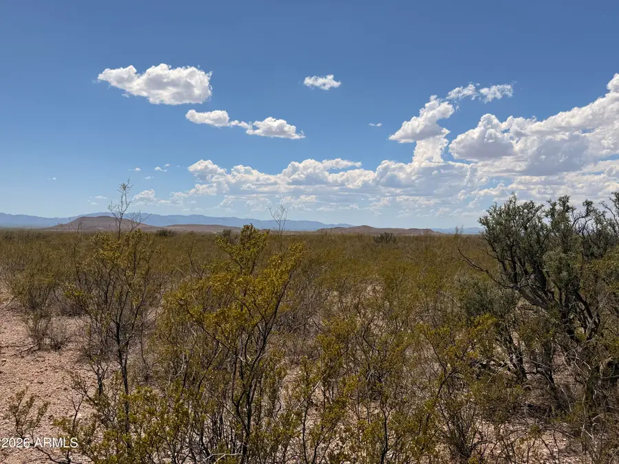 Lot 121 Valley Springs -- #121, Douglas, AZ 85607 - #2