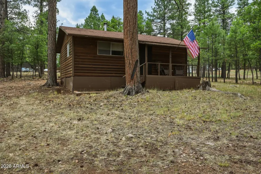 2100 Antelope Way, Happy Jack, AZ 86024 - #3