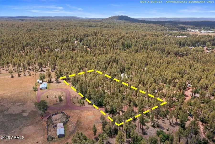TBD S Hill Drive, Pinetop, AZ 85935 - #3