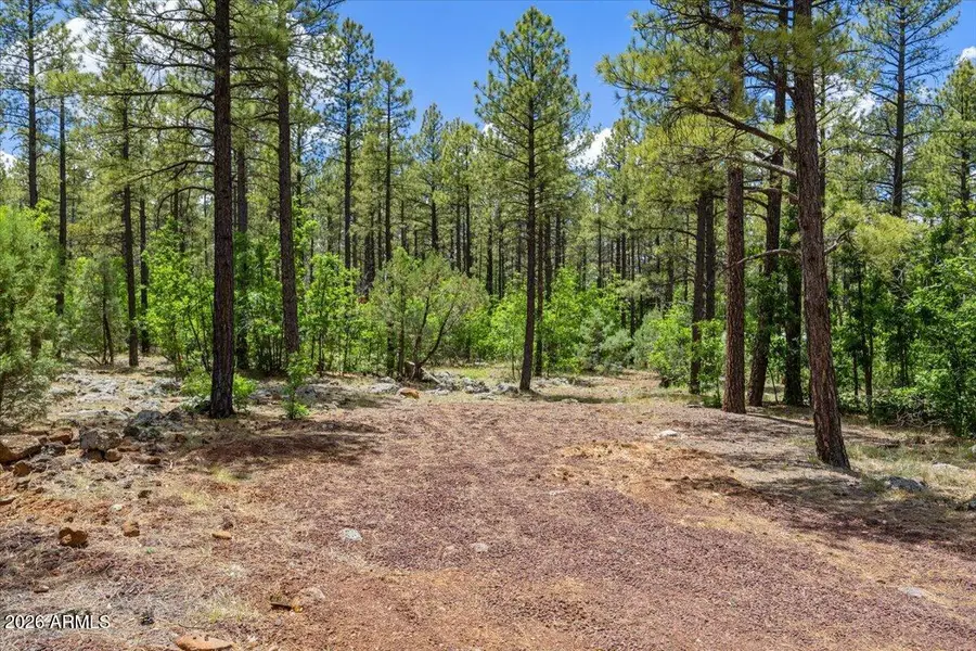 TBD E Sawmill Drive, Pinetop, AZ 85935 - #2