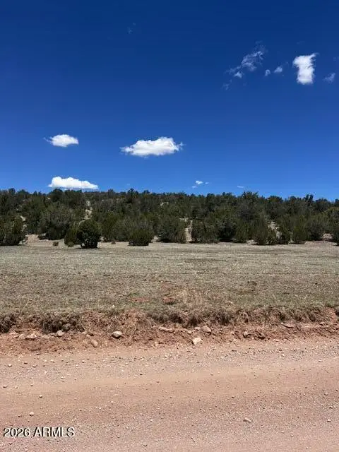Lot 15 Juniper Mtn Ranches Unit 1 -- #15, Seligman, AZ 86337 - #3