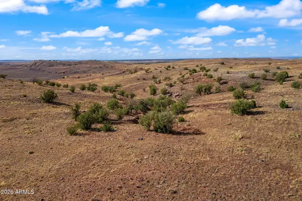 TBD N8491 --, Concho, AZ 85924