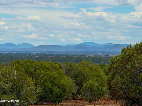 8063 Mustang Lane, Show Low, AZ 85901