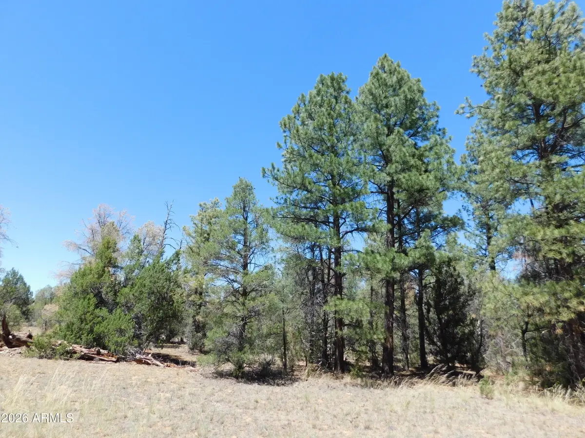 3100 Pinewood Drive #083B, Overgaard, AZ 85933 - #1