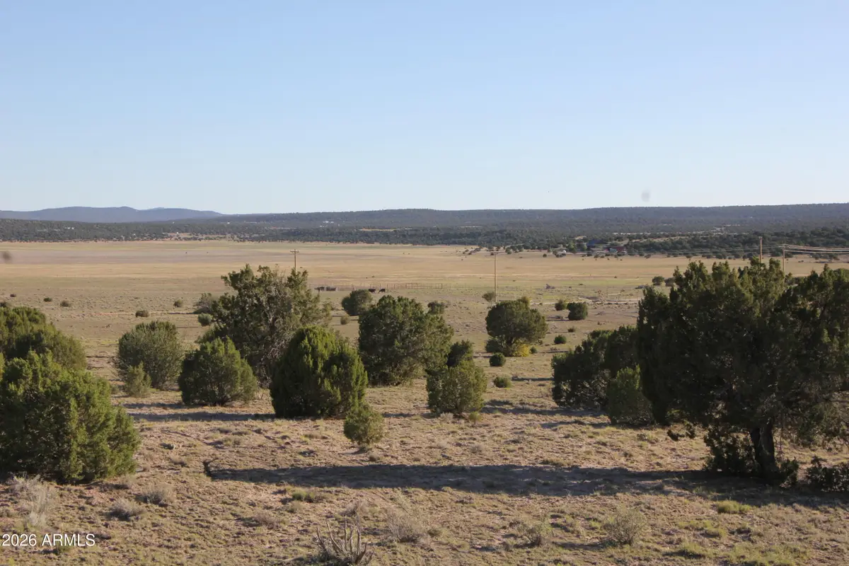 8500 Tbd County Road 8500 Road #43, Concho, AZ 85924 - #1