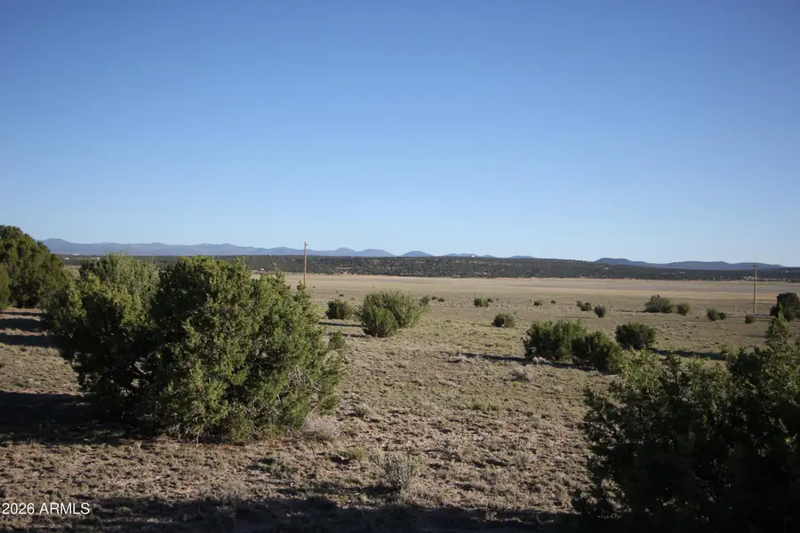 8500 Tbd County Road 8500 Road #43, Concho, AZ 85924 - #2