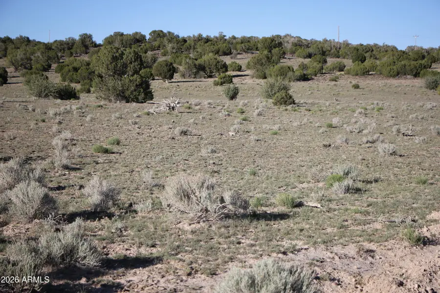 8500 Tbd County Road 8500 Road #43, Concho, AZ 85924 - #3