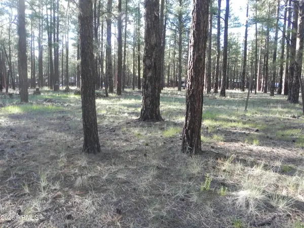 7606 E Jolly Rogue Lane #162, Williams, AZ 86046