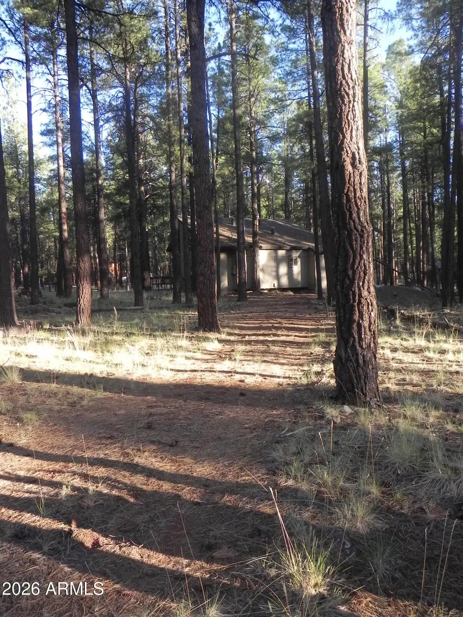 7606 E Jolly Rogue Lane #162, Williams, AZ 86046 - #3
