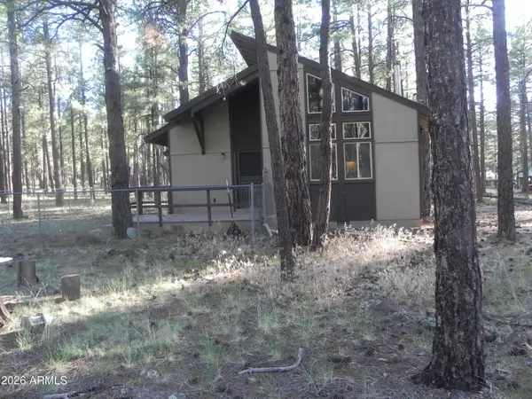 7606 E Jolly Rogue Lane #2, Williams, AZ 86046