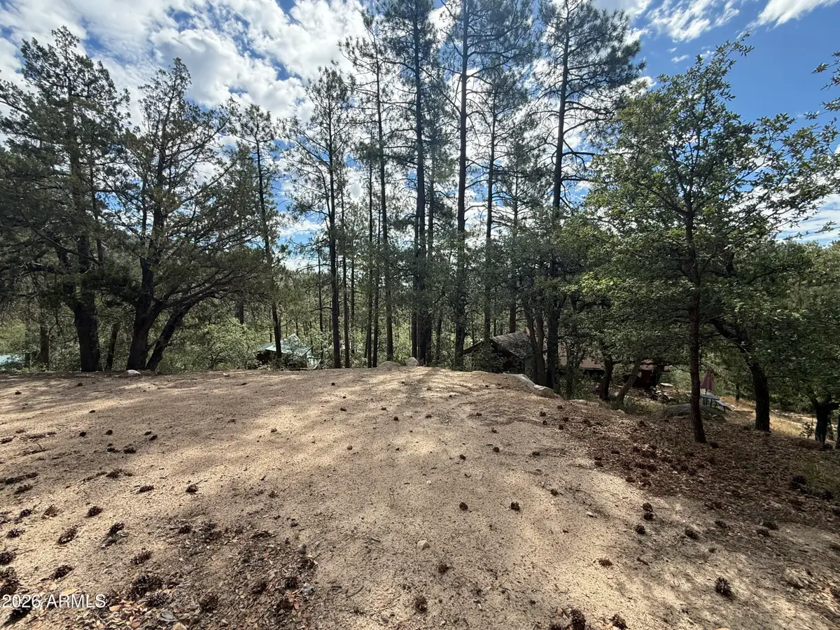 23441 S Van Lane #49, Crown King, AZ 86343 - #1