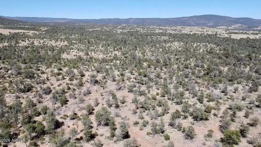 TBD N Ike Clark Parkway #2, Young, AZ 85554 - #3