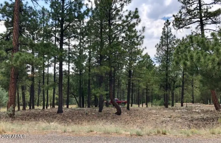 2526 Well Water Road #322, Happy Jack, AZ 86024 - #1