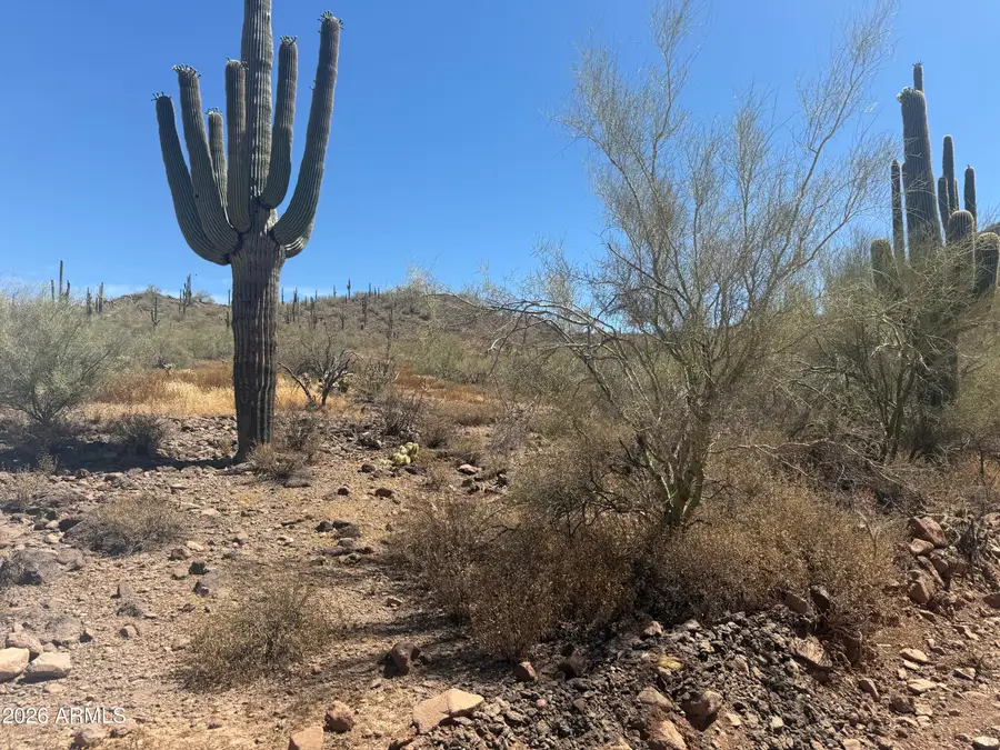 1913 E Mariola --, Phoenix, AZ 85086 - #3