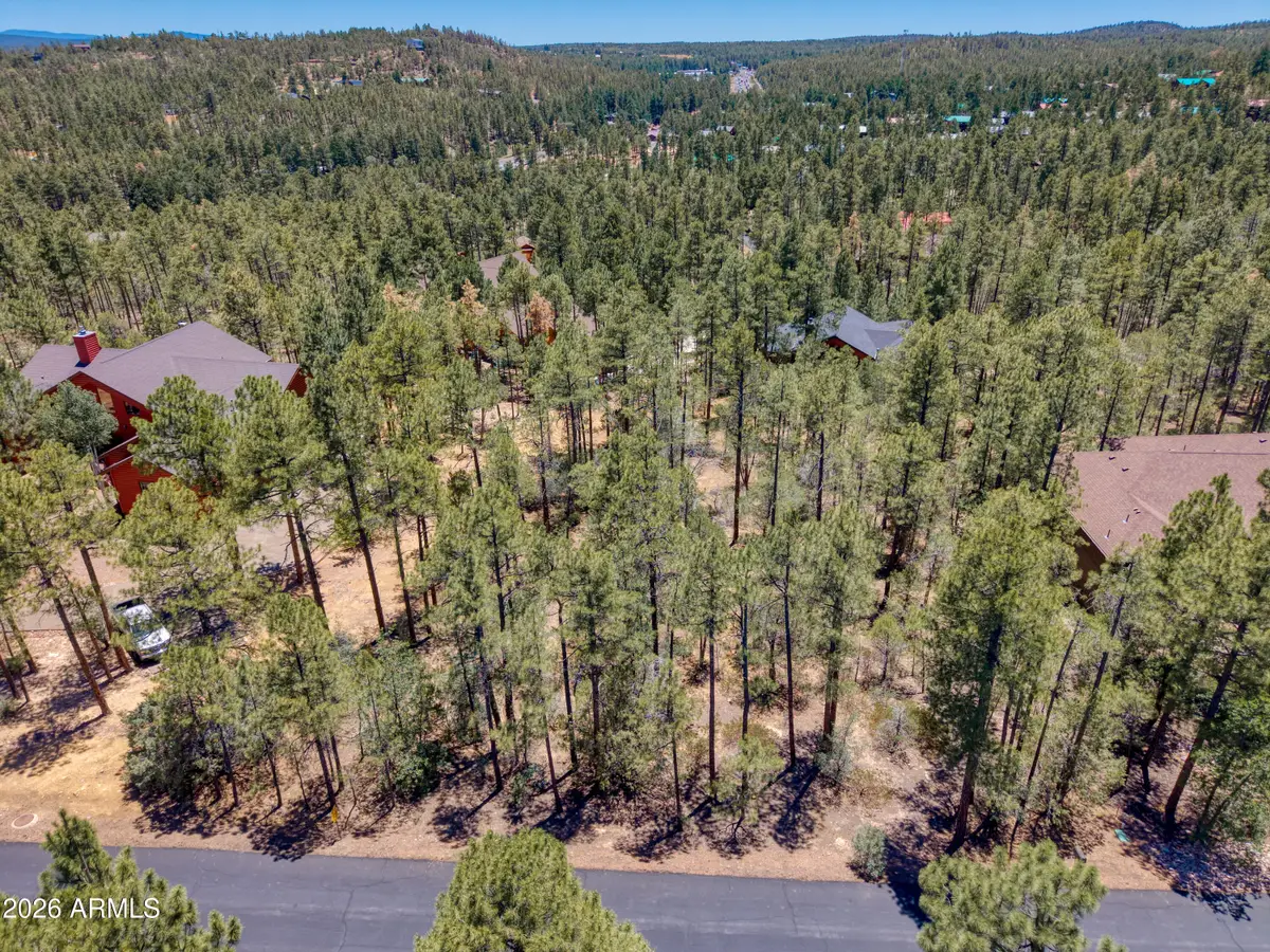 1101 E Pine Oaks Drive #47, Show Low, AZ 85901 - #1