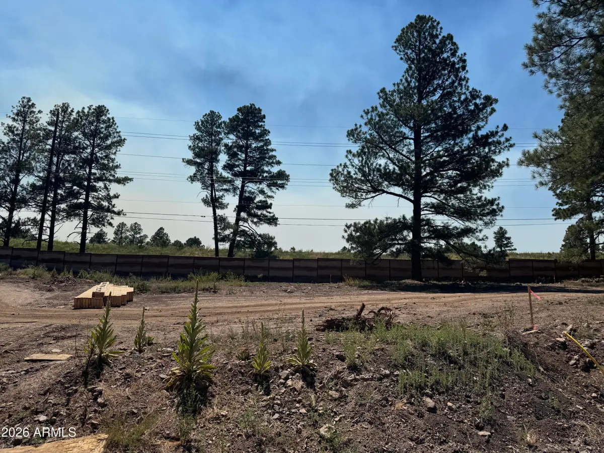 2142 Shaded Spring Trail, Flagstaff, AZ 86005 - #1