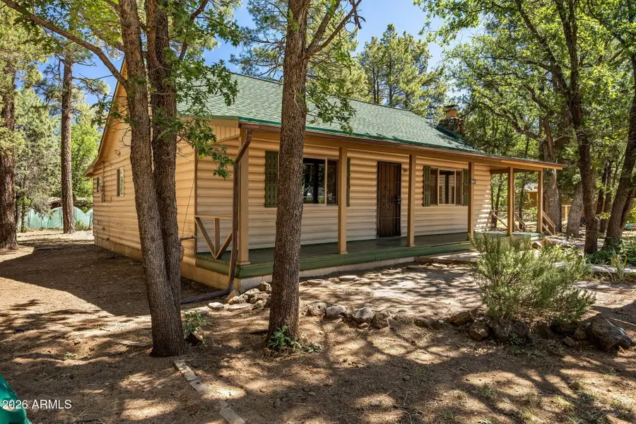 564 W Meadow Drive, Lakeside, AZ 85929 - #3