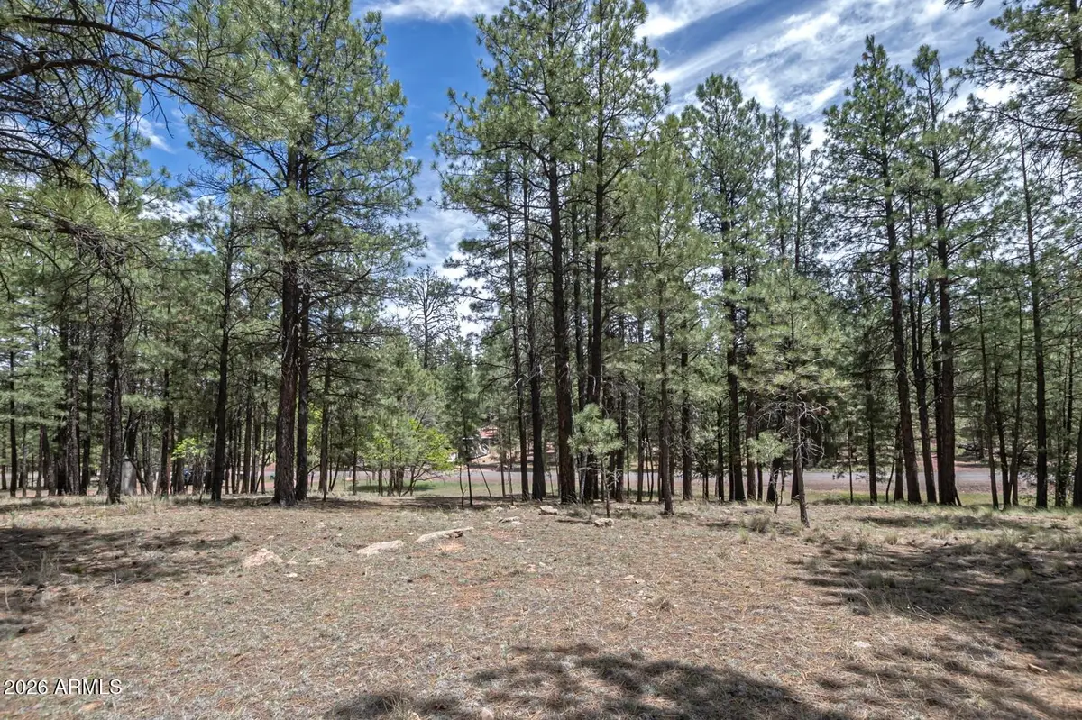 2132 W Pine Valley Road, Happy Jack, AZ 86024 - #1
