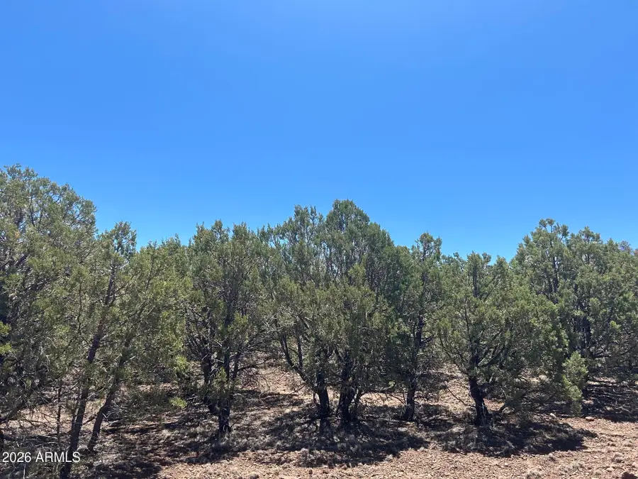 TBD Lot 37k -- #037K, Vernon, AZ 85940 - #2