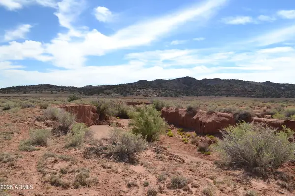 Lots 18,19 N8577 -- #18, Concho, AZ 85924