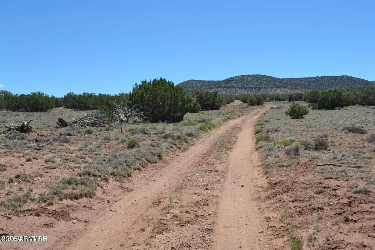TBD N8604 -- #1, Concho, AZ 85924 - #1