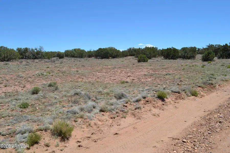 TBD N8604 -- #1, Concho, AZ 85924 - #3