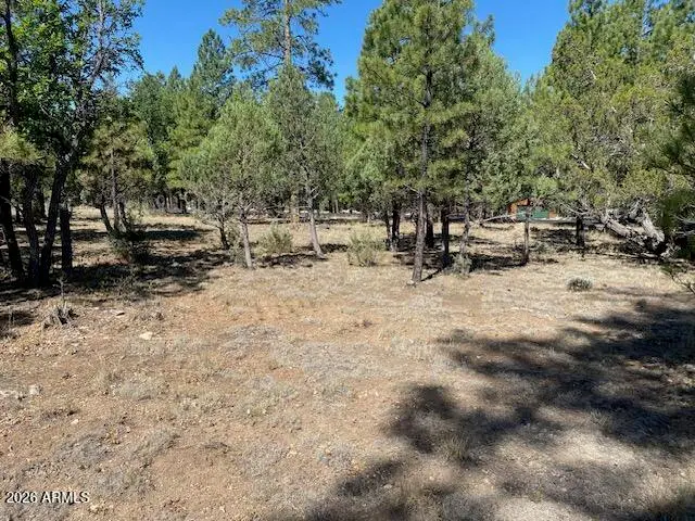 4214 Juniper Drive #46, Happy Jack, AZ 86024 - #2