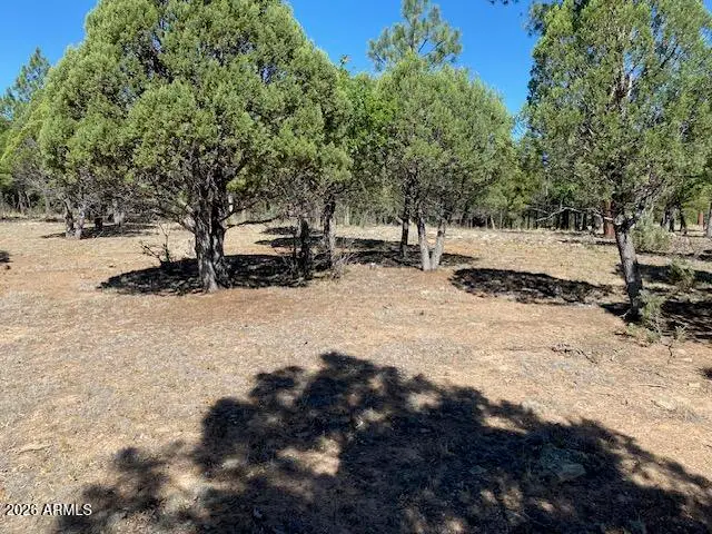 4214 Juniper Drive #46, Happy Jack, AZ 86024 - #3