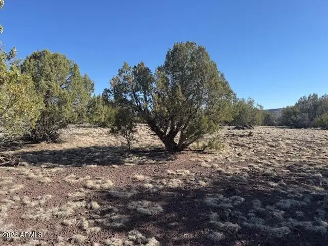 385 W Edgewood Drive, Williams, AZ 86046 - #3