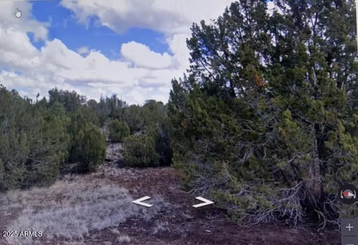 8426 Silver Creek Drive #1, Show Low, AZ 85901 - #1