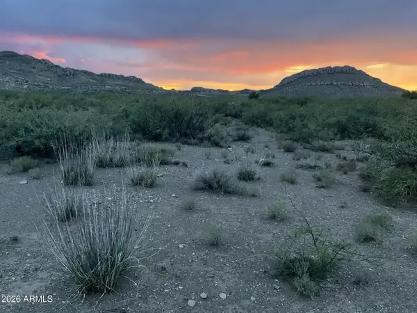 20 Acres E Mud Springs Road #5, Douglas, AZ 85607