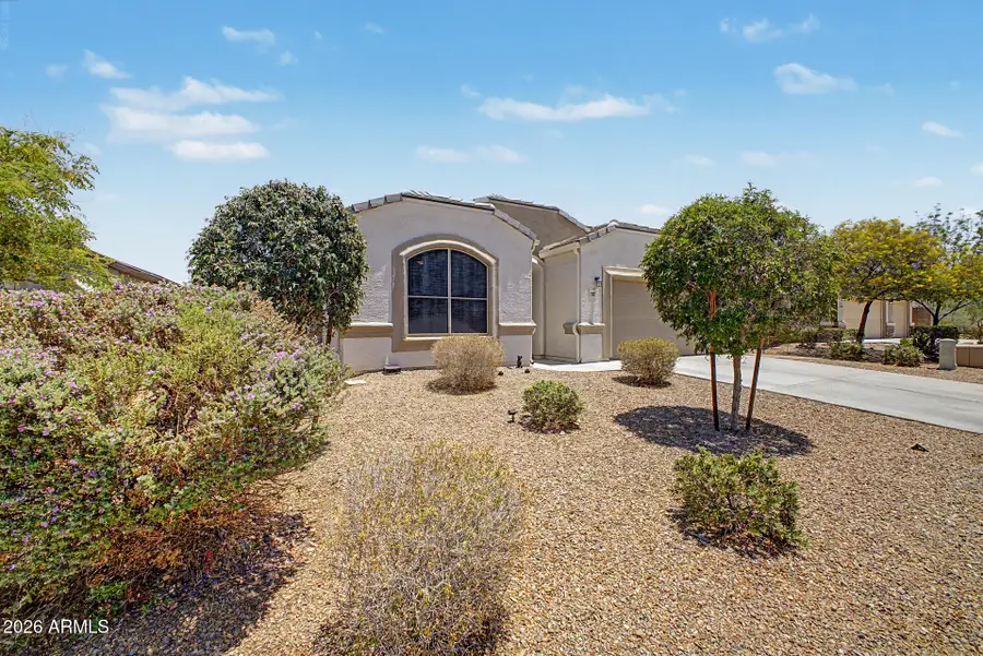 25831 N 134th Drive, Peoria, AZ 85383 - #3
