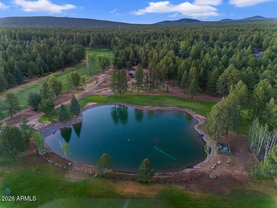 4251 Branding Iron Loop Loop, Pinetop, AZ 85935 - #3