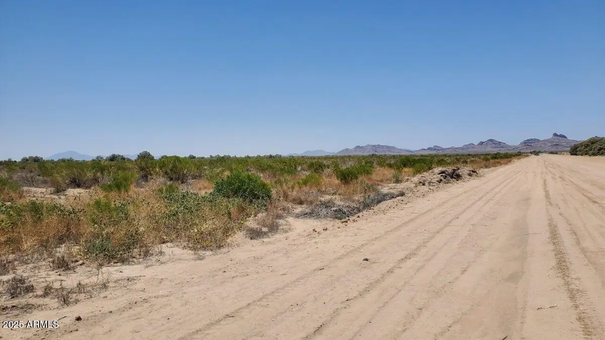 0000 W Curtis Road #E-4, Eloy, AZ 85131 - #1