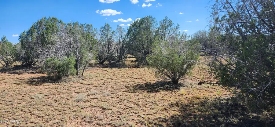 2901 N Cienega Drive #A, Ash Fork, AZ 86320 - #3