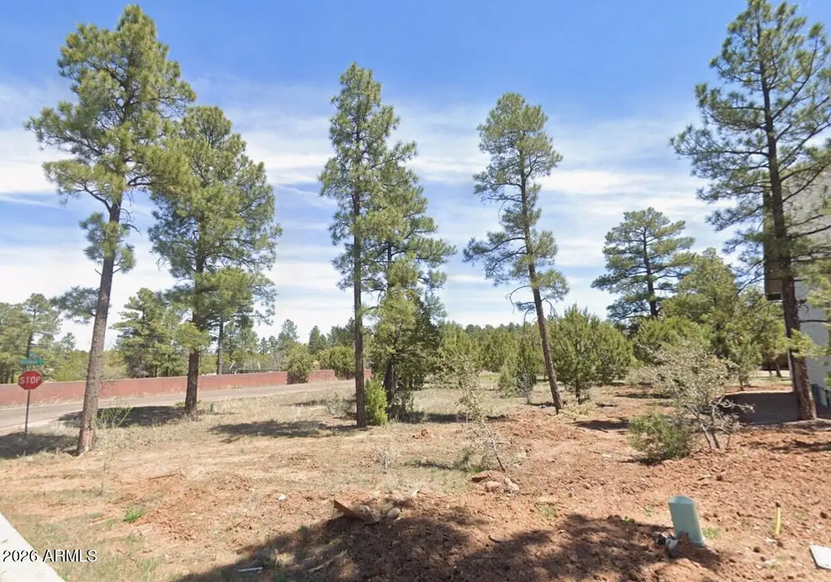 601 S Campbell Lane #66, Show Low, AZ 85901 - #1
