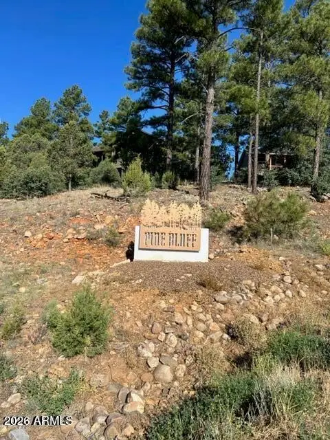 601 S Campbell Lane #66, Show Low, AZ 85901 - #2