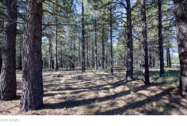1924 Quilt Country Drive #781, Forest Lakes, AZ 85931