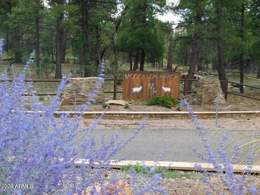 4131 Sunset Ridge Loop, Happy Jack, AZ 86024 - #2