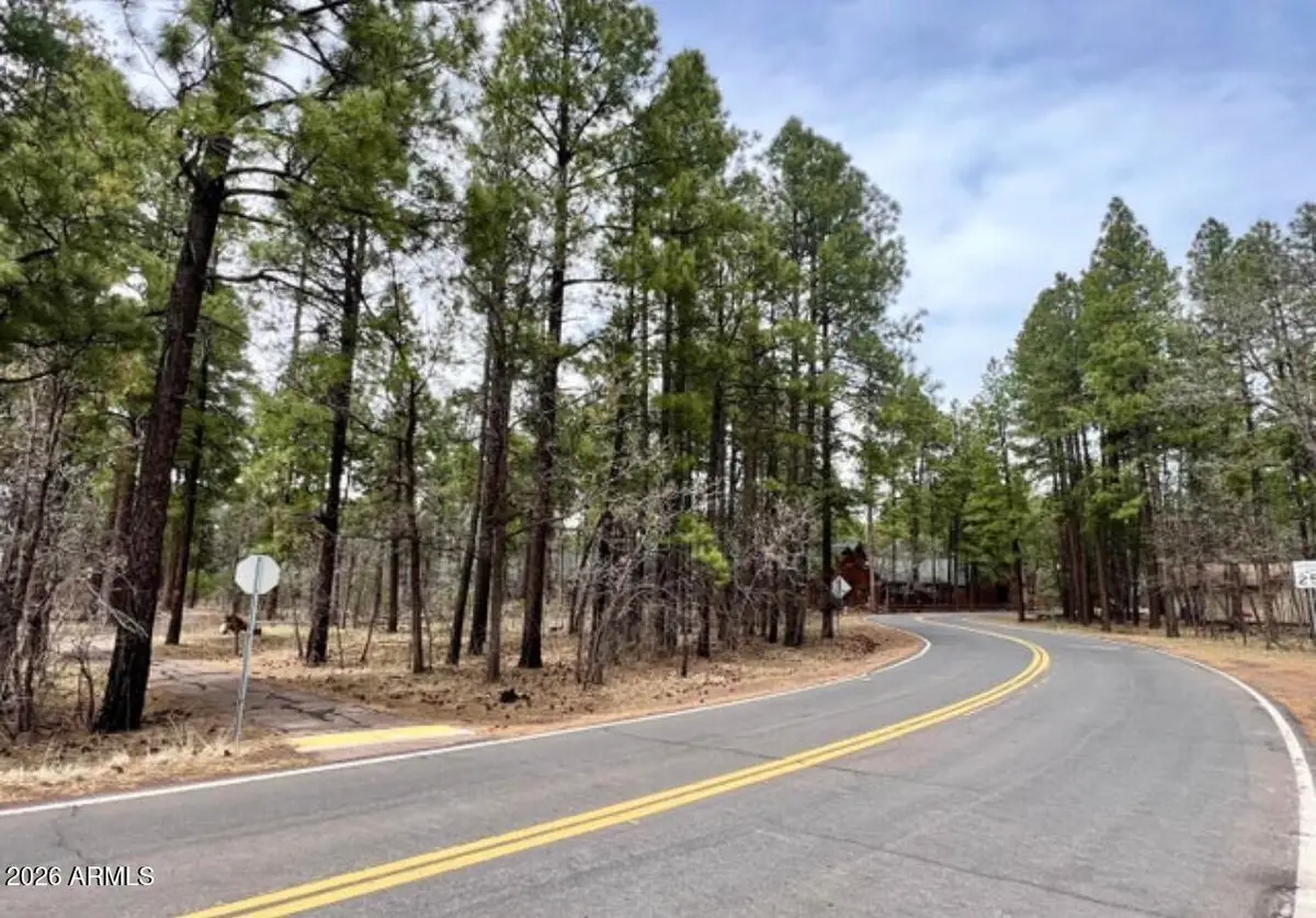4024 Latigo Way, Pinetop Lakeside, AZ 85929 - #1