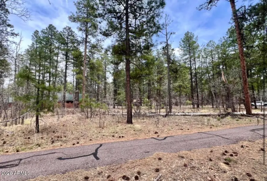 4024 Latigo Way, Pinetop Lakeside, AZ 85929 - #2