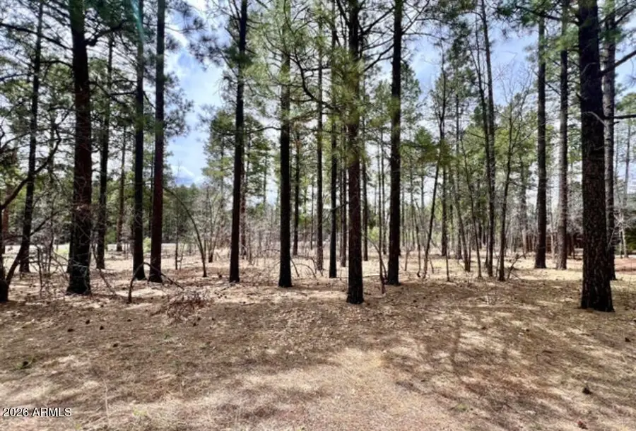 4024 Latigo Way, Pinetop Lakeside, AZ 85929 - #3
