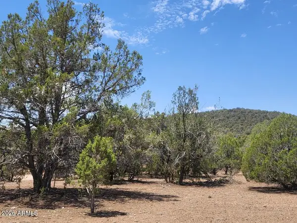 160B Cattle Drive #160, Williams, AZ 86046
