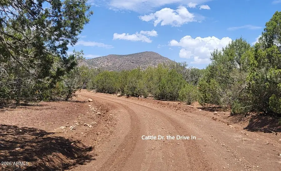 160B Cattle Drive #160, Williams, AZ 86046 - #2