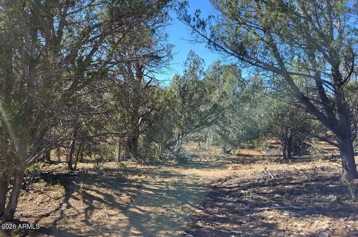 918 Wolf Road #918, Ash Fork, AZ 86320 - #1